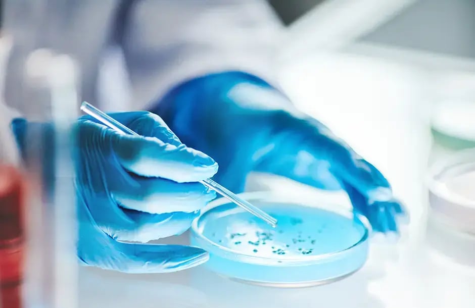 Petri dish with spores