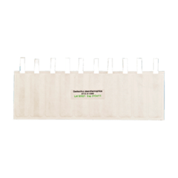 apex-Ribbons-Small-R01 apex-Ribbons-Small-R01