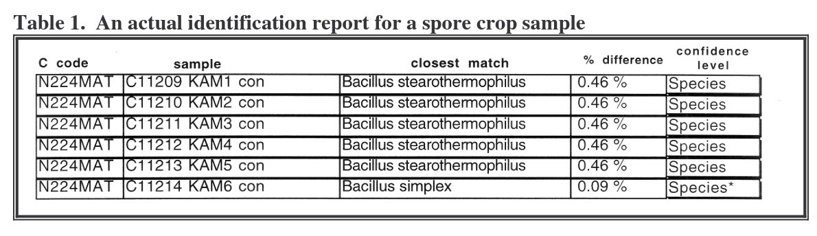 Identification-report-spore-crop-sample