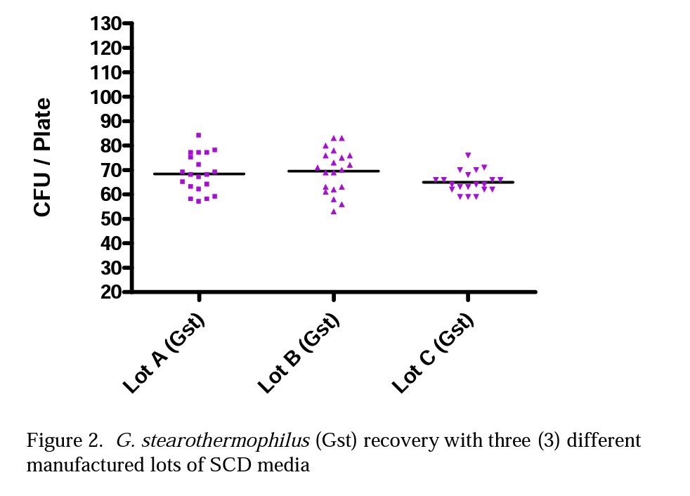 Figure 2 G. stearothermophilus Gst recovery