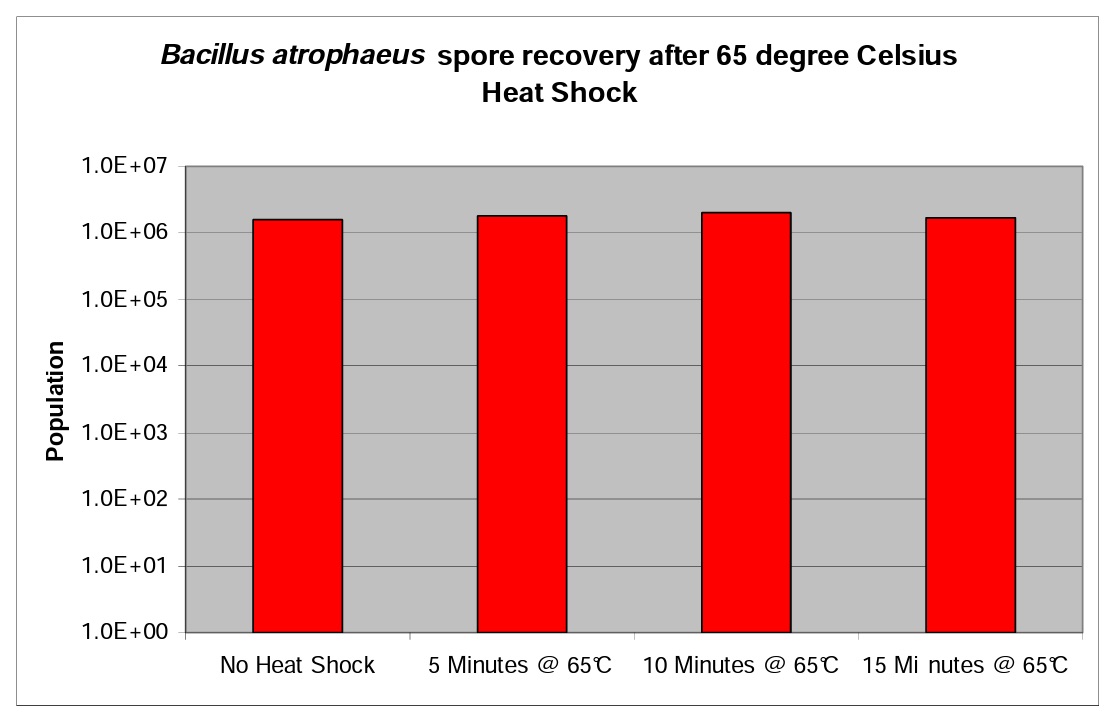 Graph 4 Bacillus atrophaeus spore recovery 65 degrees