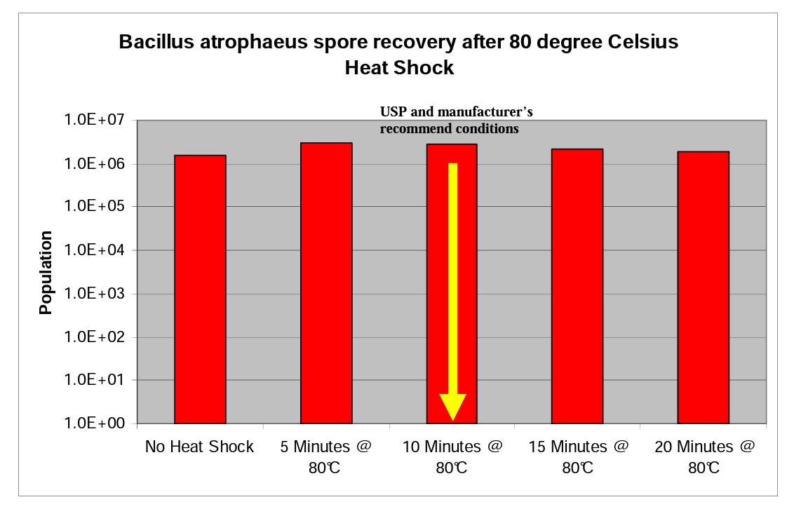 Graph 5 Bacillus atrophaeus spore recovery 80 degrees