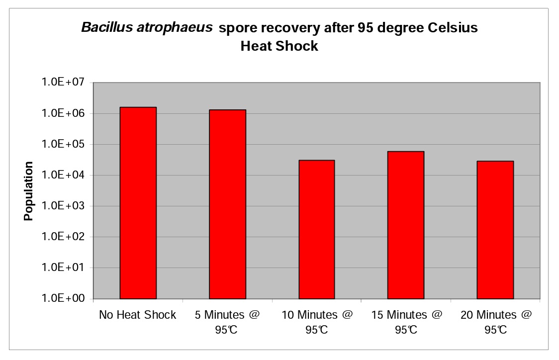Graph 5 Bacillus atrophaeus spore recovery 95 degrees